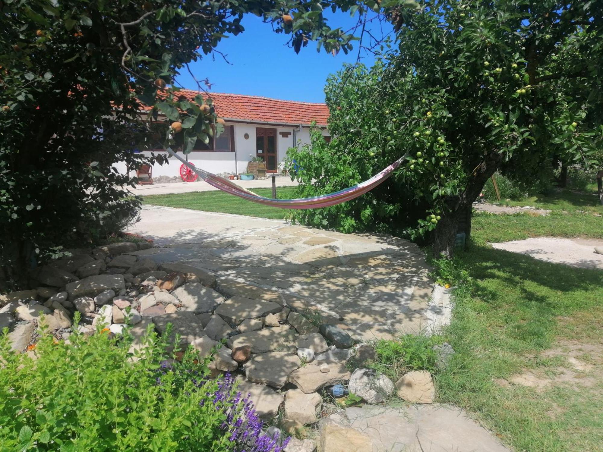 Calla Retreat Vezenkovo Esterno foto